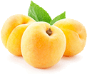 apricot